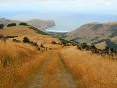 WDL 27 - Banks Peninsula 2